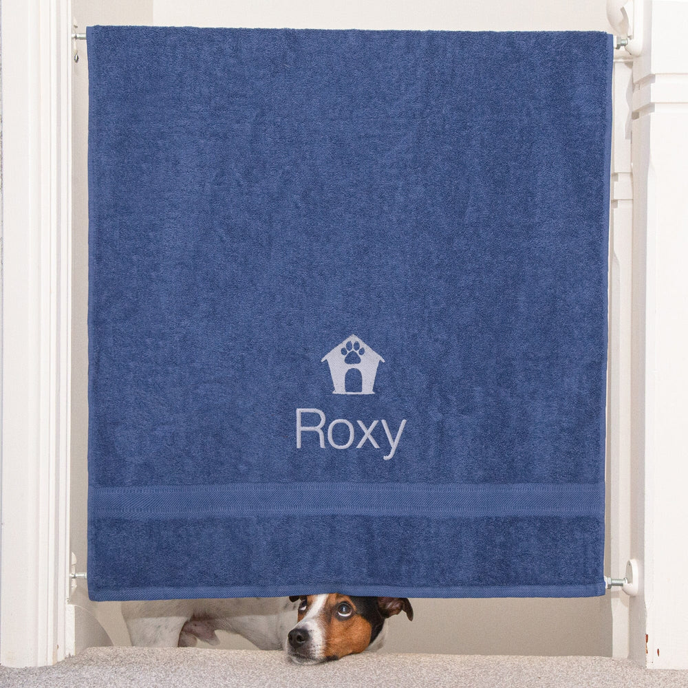 dog peeping underneath a towel