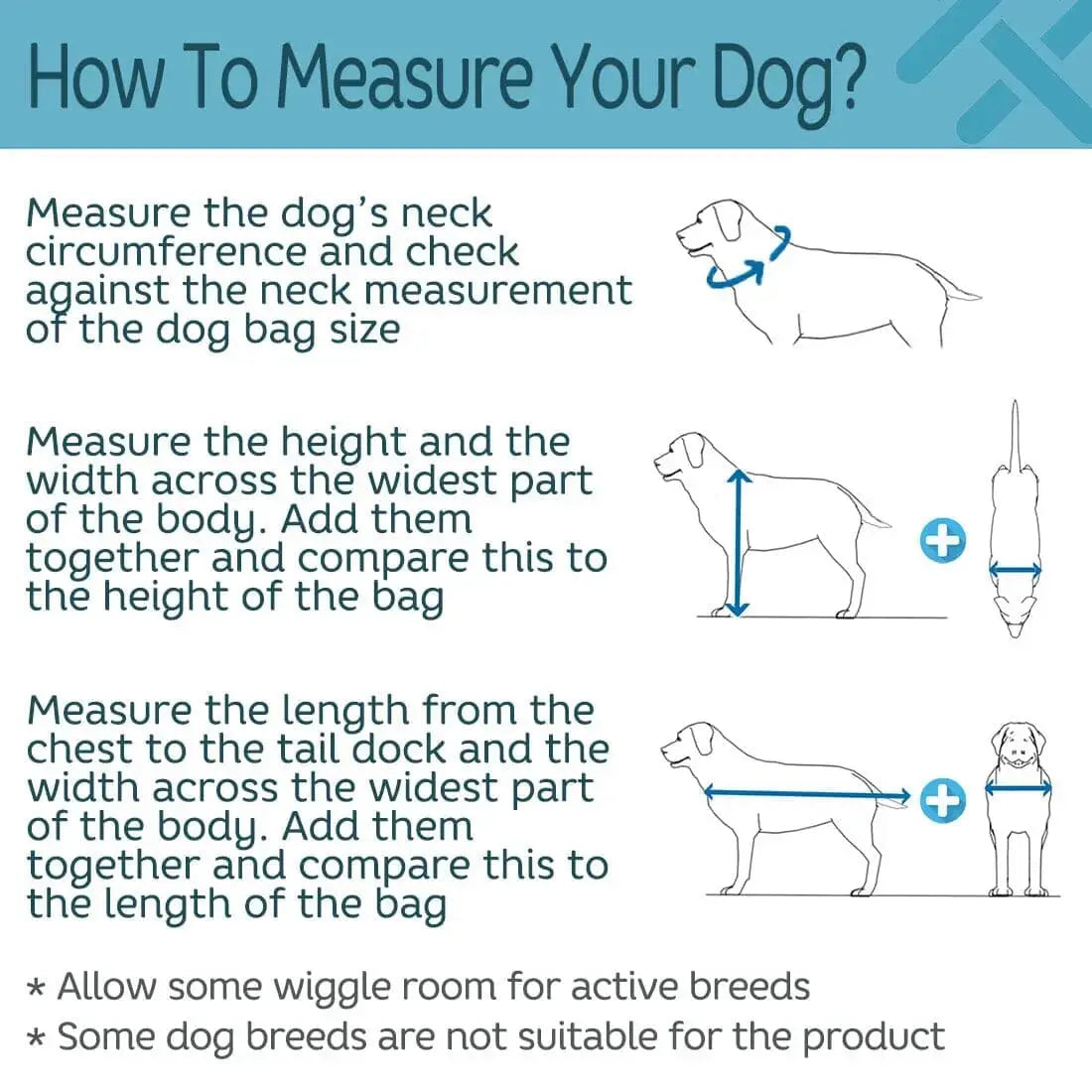 How to measure your dog infographic