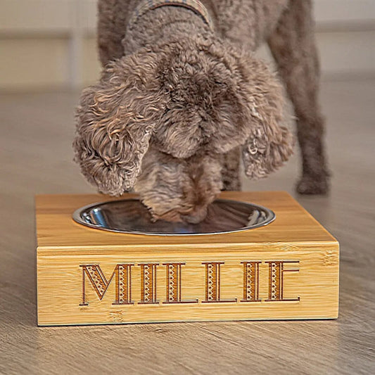 Personalised Bamboo Pet Feeding Bowl   