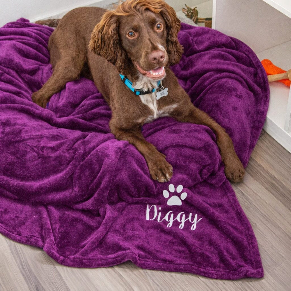 Dog lying on a purple 'Diggy' branded dog bed.