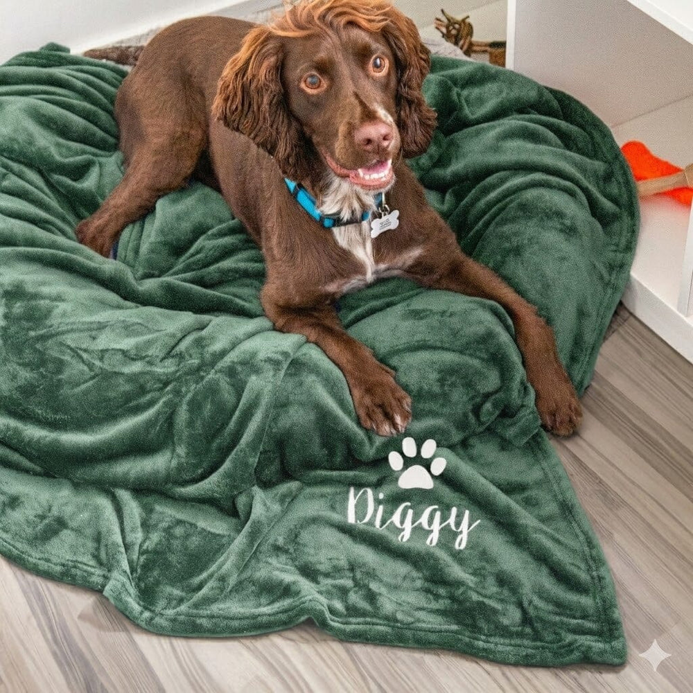 Dog lying on a green 'Diggy' branded dog bed