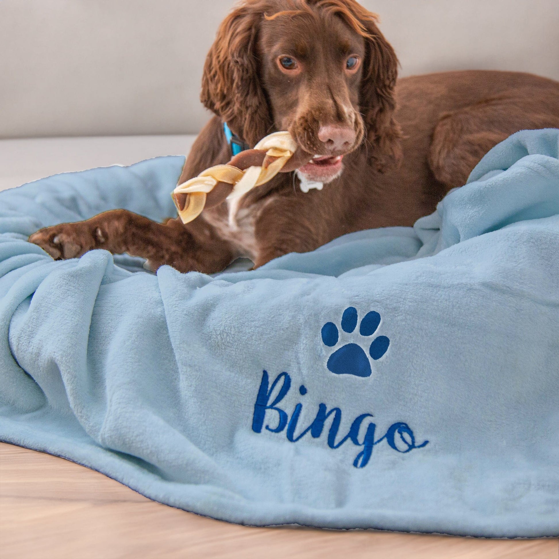 Blue coloured dog blanket with Rufus embroidered underneath a paw print. Rufus is enjoying the blanket.