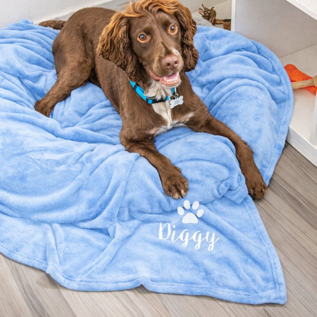 Dog lying on a blue blanket with 'Diggy' branding