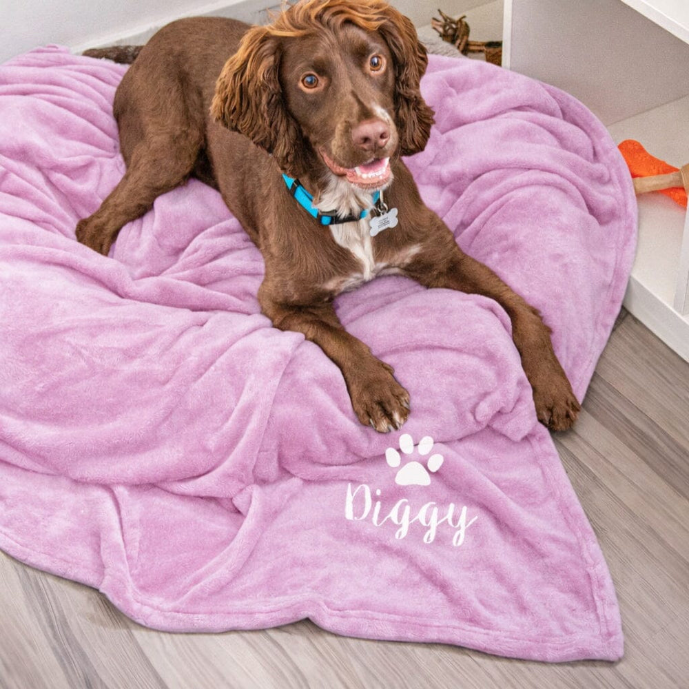 Dog lying on a pink blanket with 'Diggy' branding