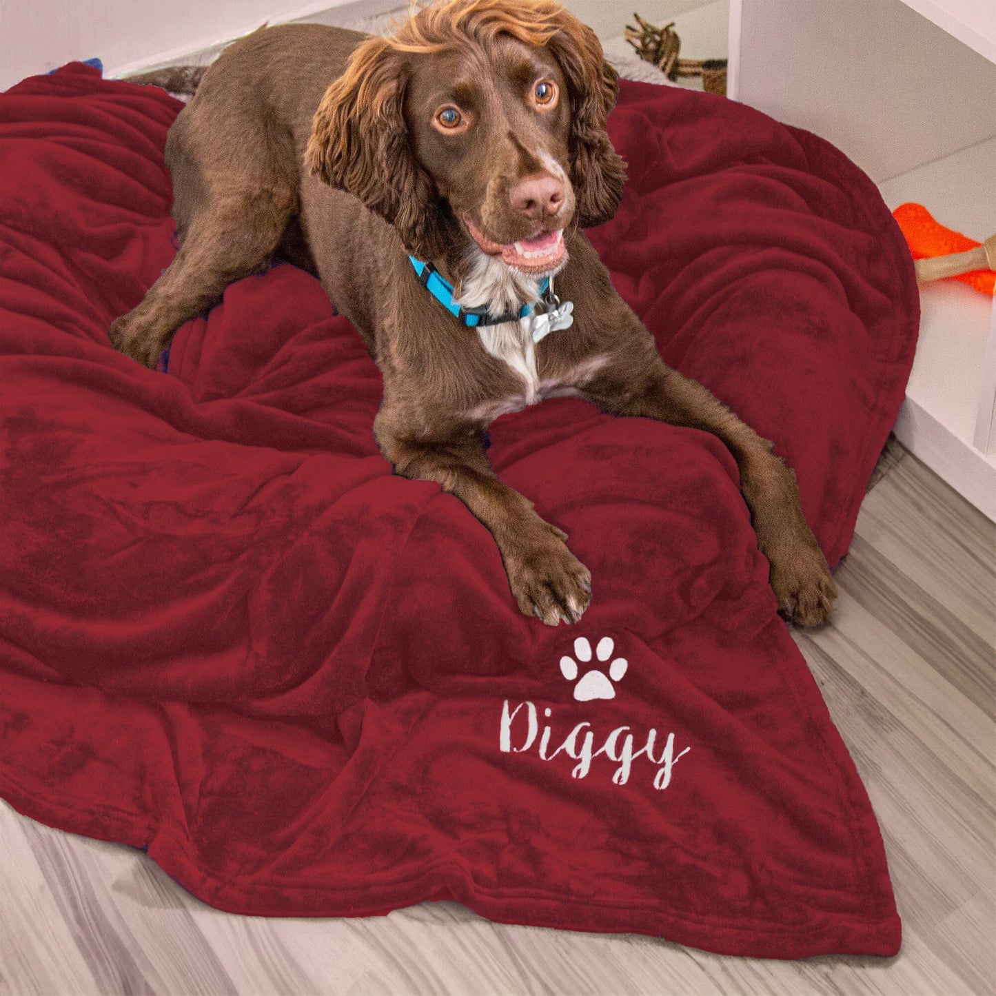 Merlot coloured dog blanket with Rufus embroidered underneath a paw print. Rufus is enjoying the blanket.