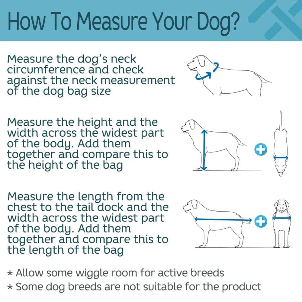 How to measure your dog infographic