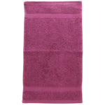 aubergine guest towel