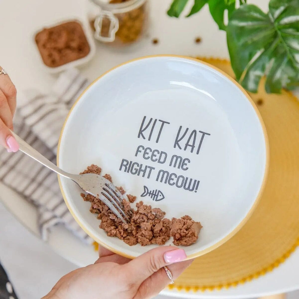 Personalised Enamel Cat Bowl   