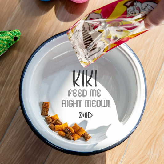 Personalised Enamel Cat Bowl  with cat toys around