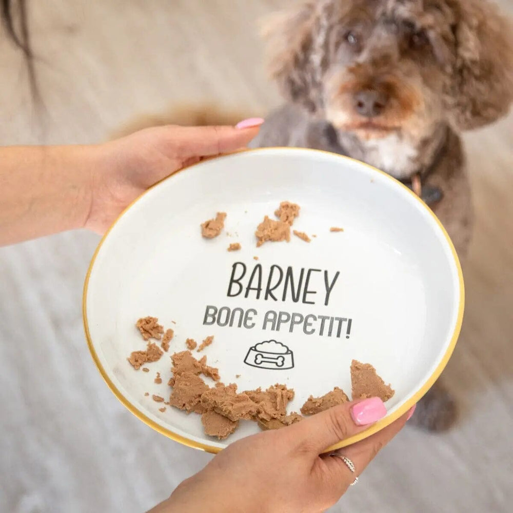 Personalised Enamel Dog Bowl   