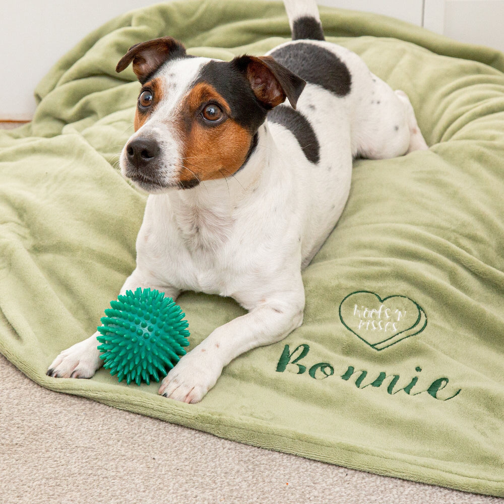 dog playing with a ball whilst on a personalised blanket