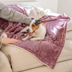 Personalised I Love My Dog Sherpa Blanket