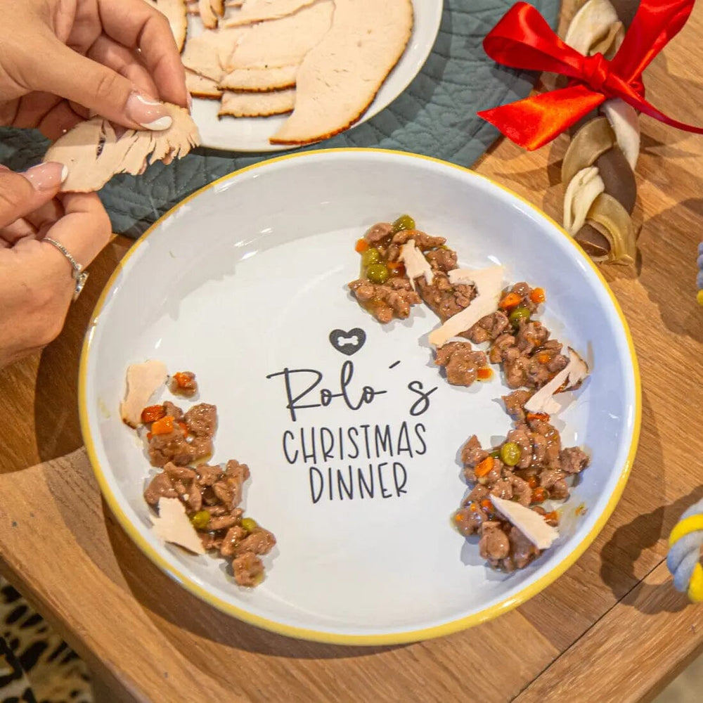 Personalised Pets Christmas Dinner Enamel Bowl   