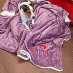 dog on a blanket