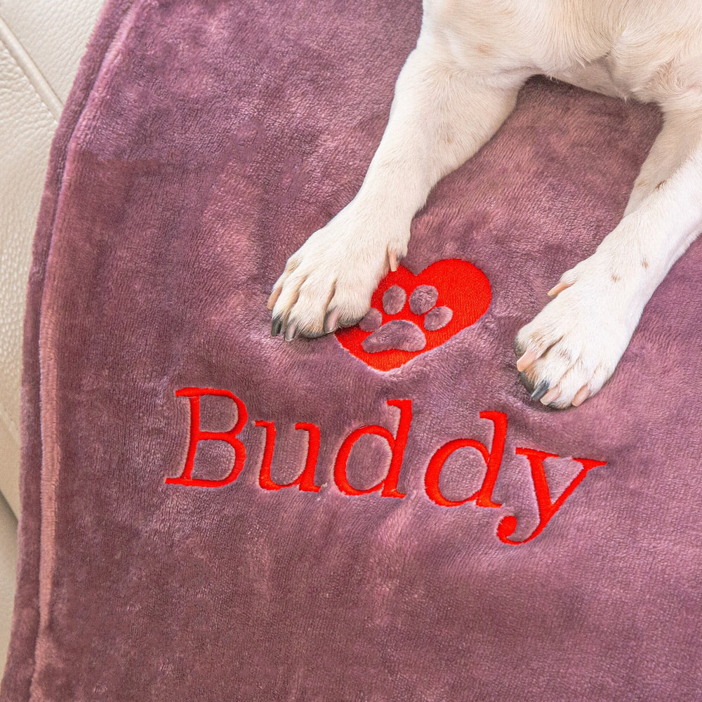 dog paw on a dog blanket
