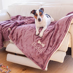 dog on a blanket on a sofa