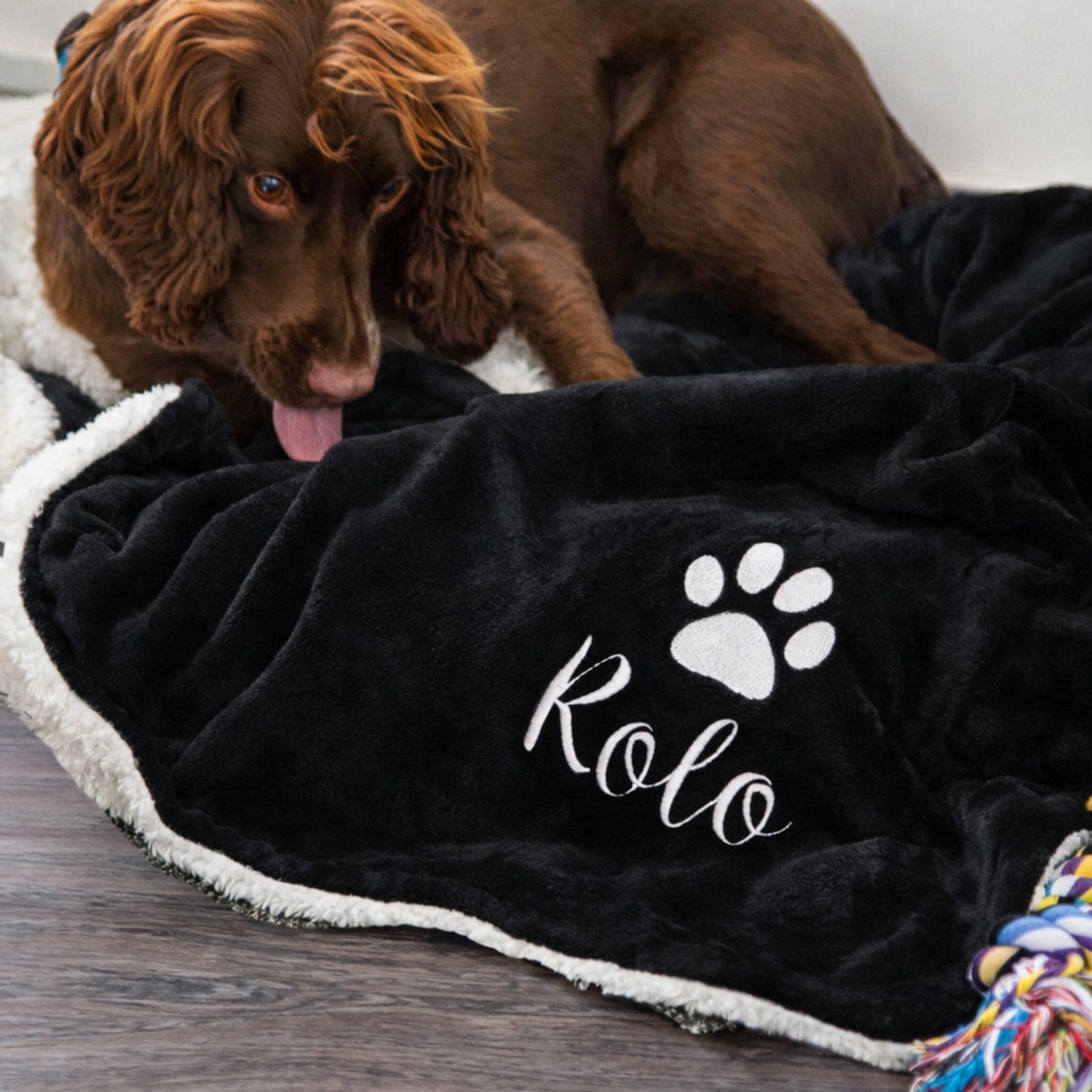 dog name on sherpa blanket