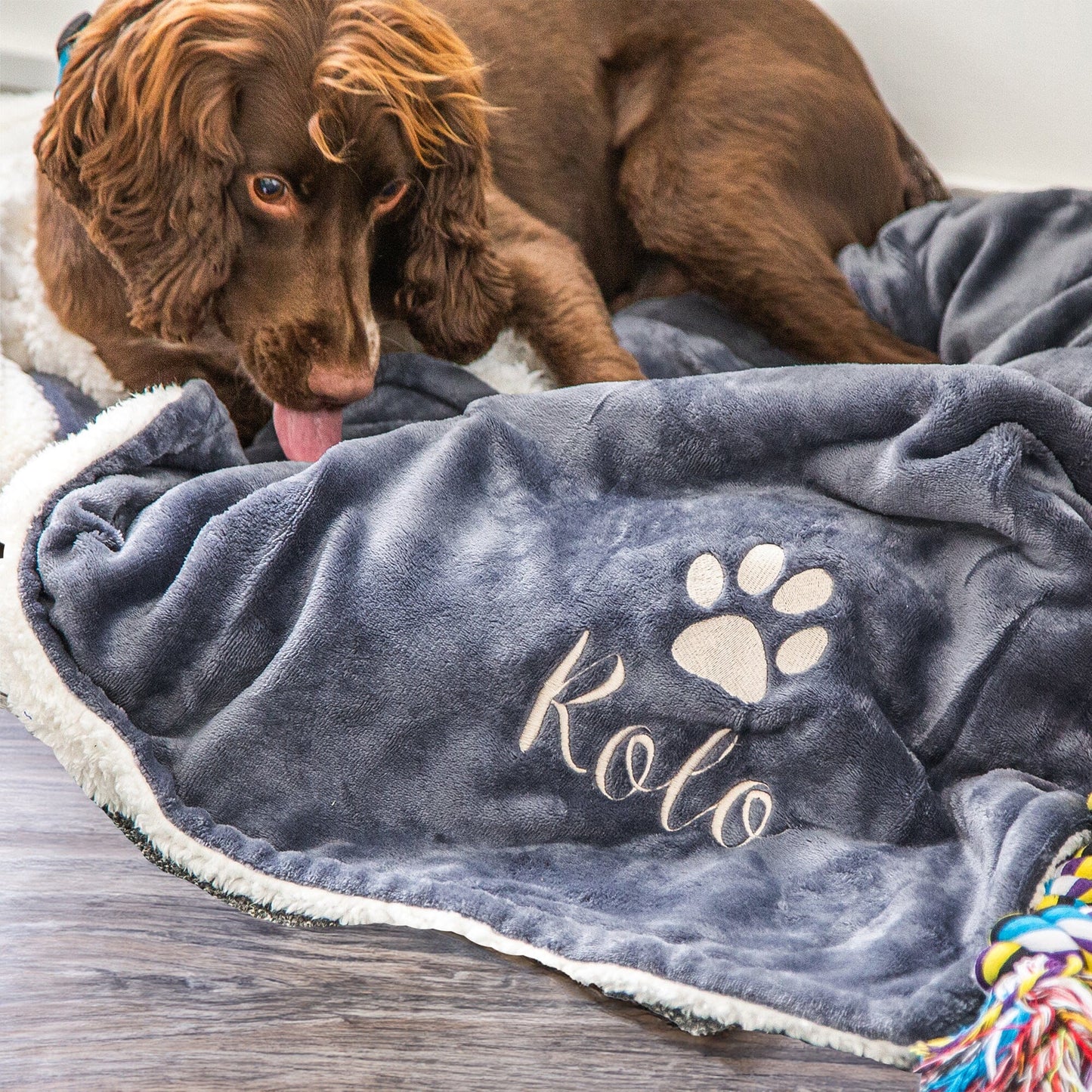 Slate-coloured Personalised Sherpa Dog blanket with Rolo embroidered underneath a paw print. Rolo is enjoying the blanket.