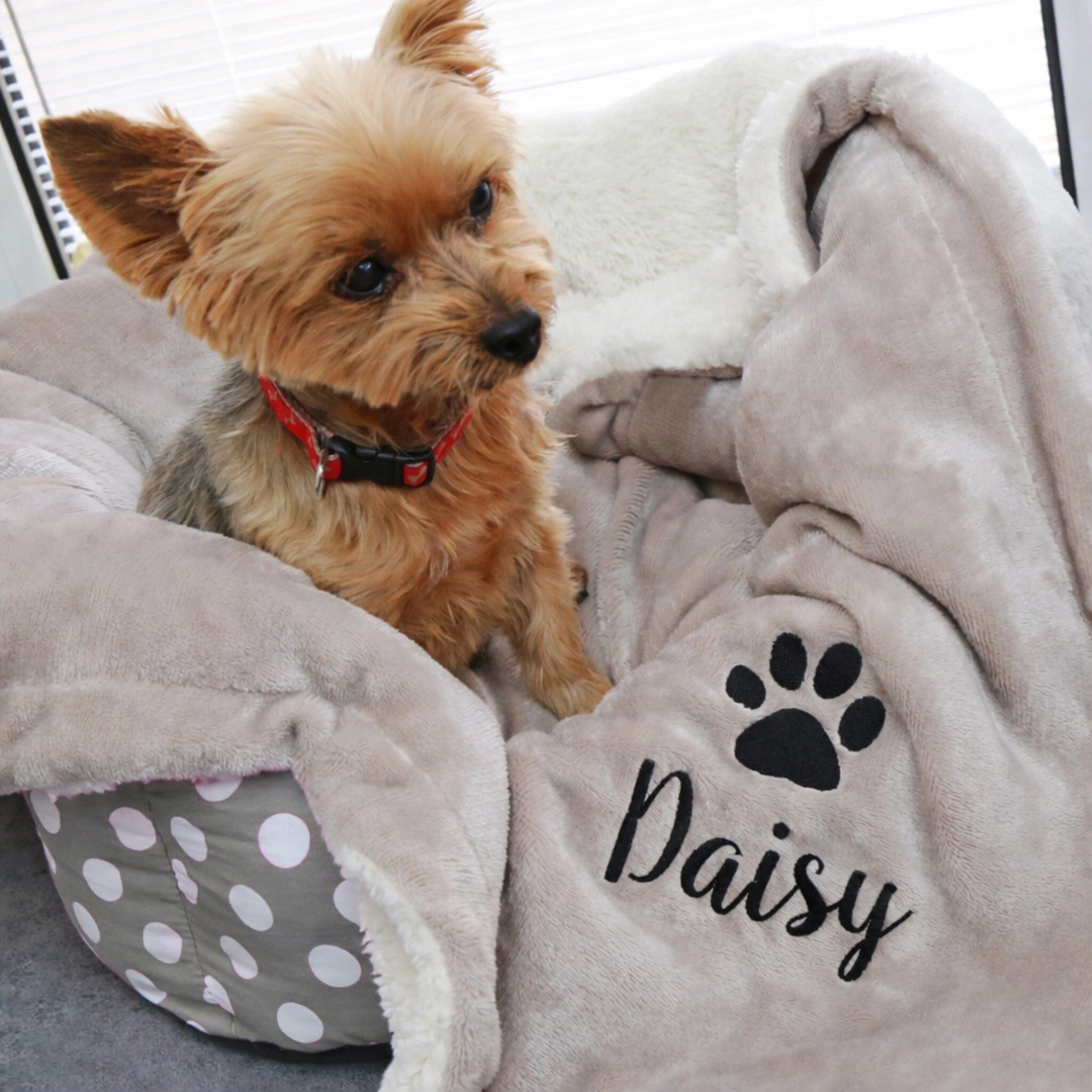 dog name on sherpa mini blanket