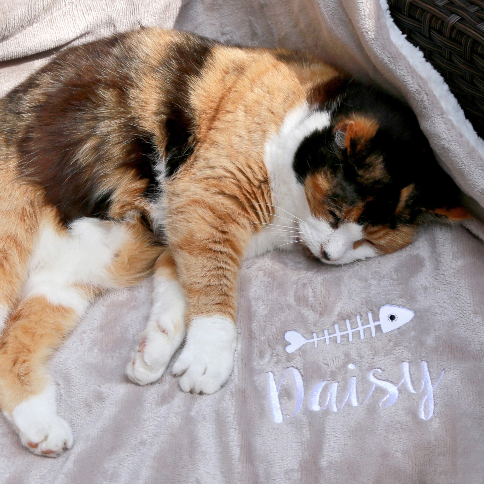 Personalised cat blanket best sale