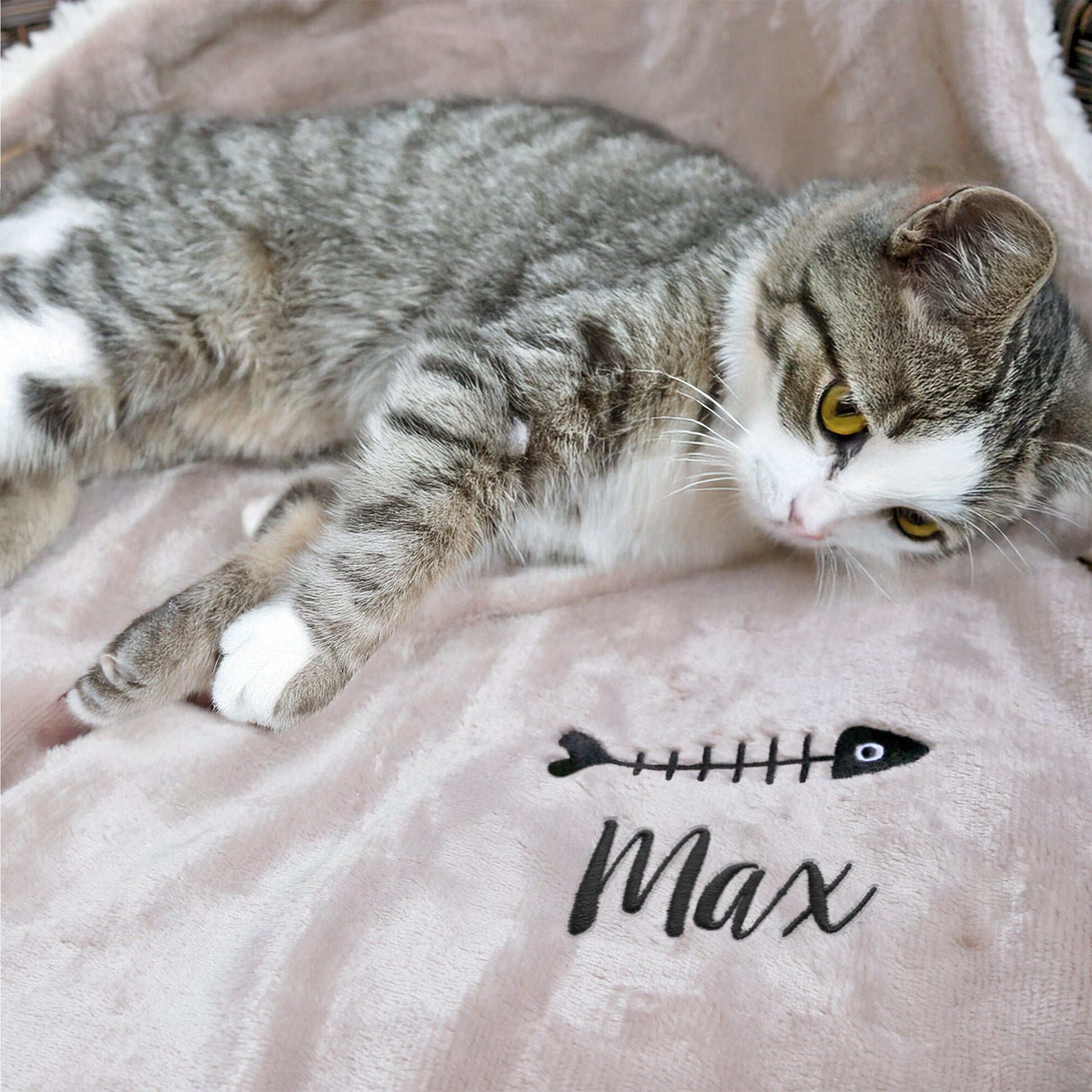 Personalised Sherpa Style Cat Blanket-Lifestyle image