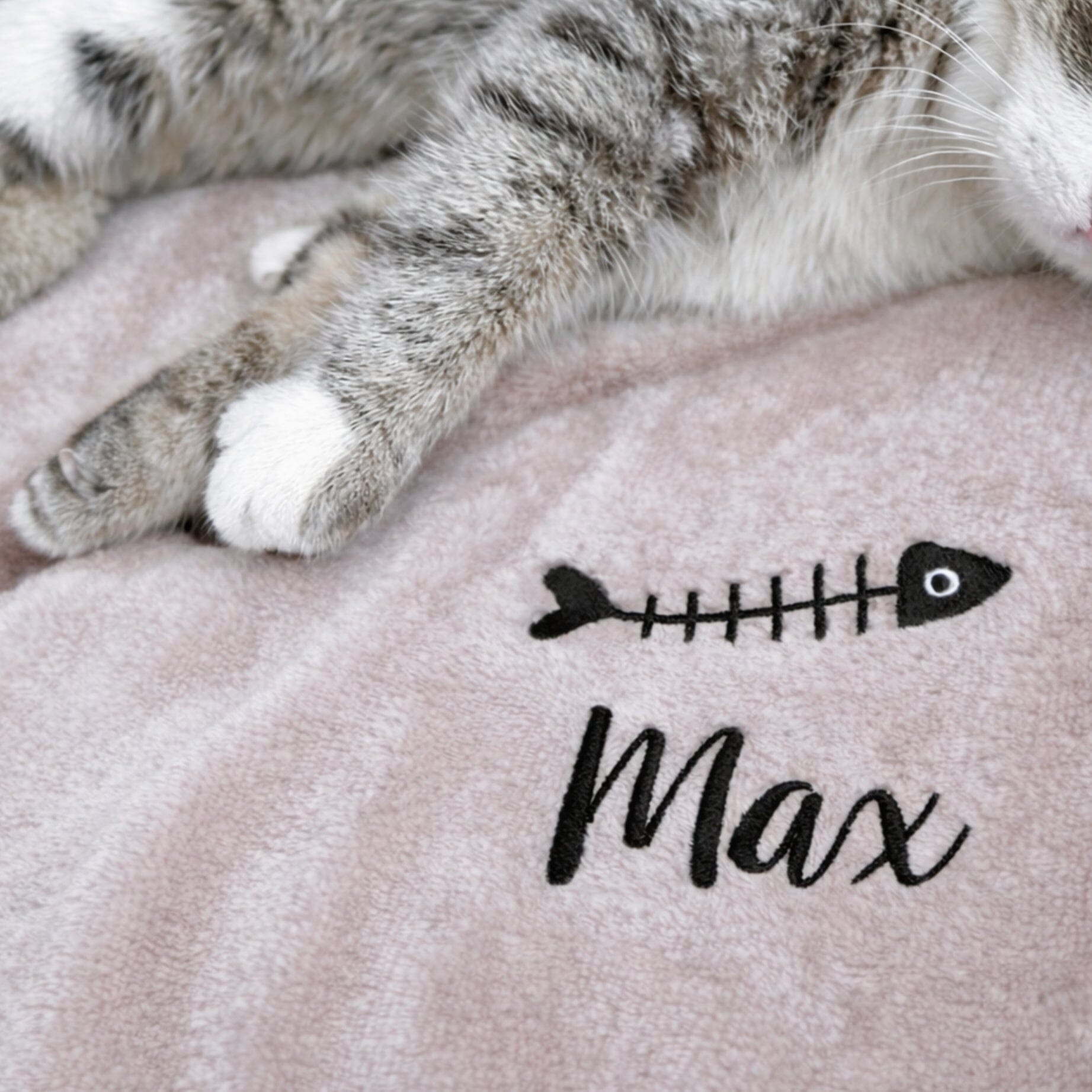 name on taupe mini blanket