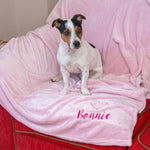 dog sitting on a pink blanket