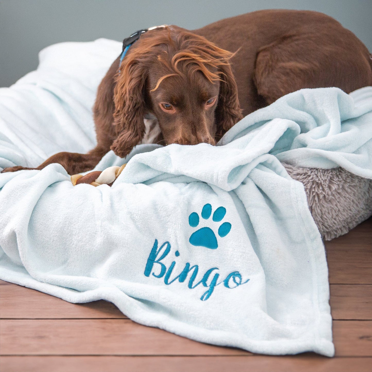 Duck Egg coloured dog blanket with Bingo embroidered underneath a paw print. Bingo is enjoying the blanket on a dog bed