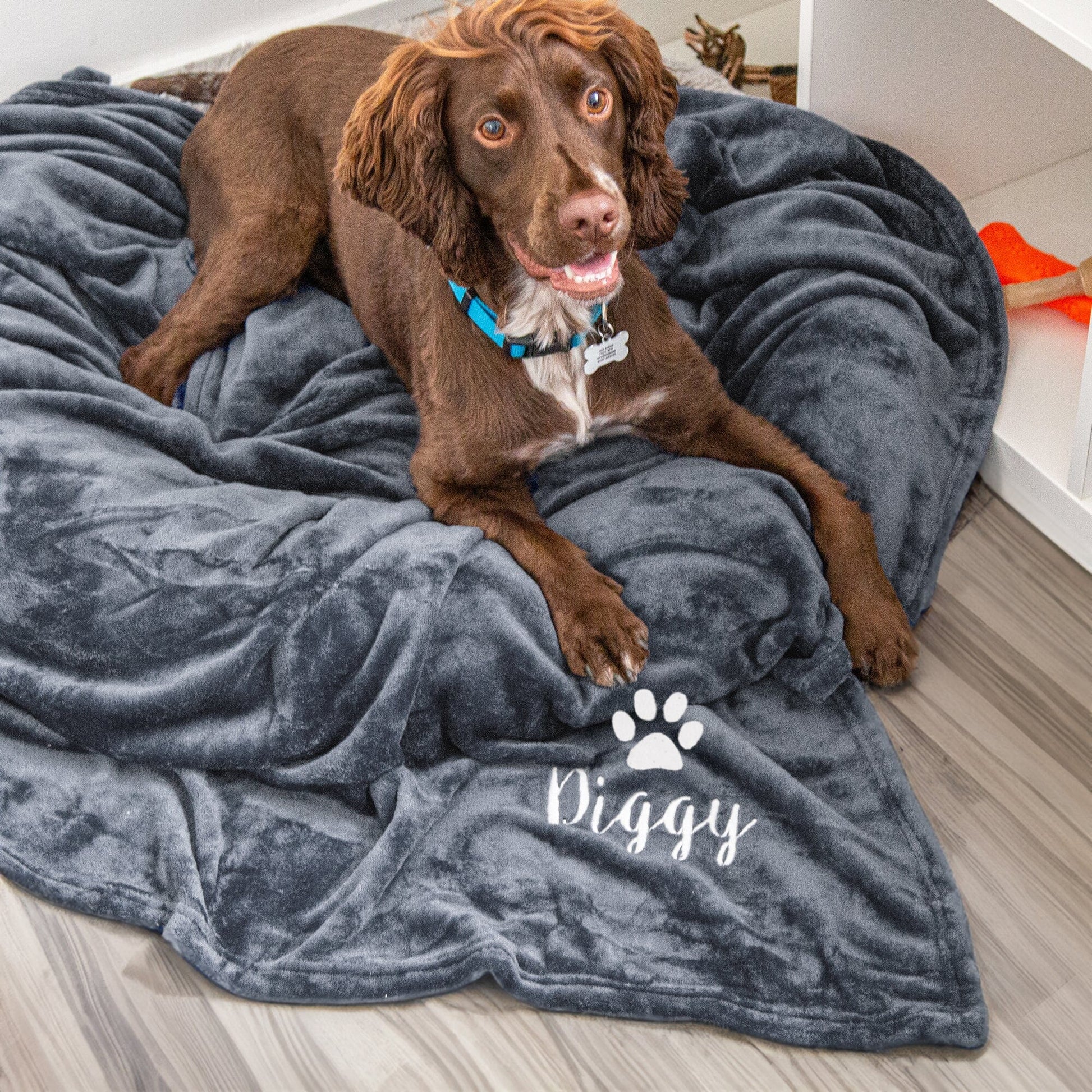 Silver slate coloured dog blanket with Diggy embroidered underneath a paw print. Diggy is enjoying the blanket.