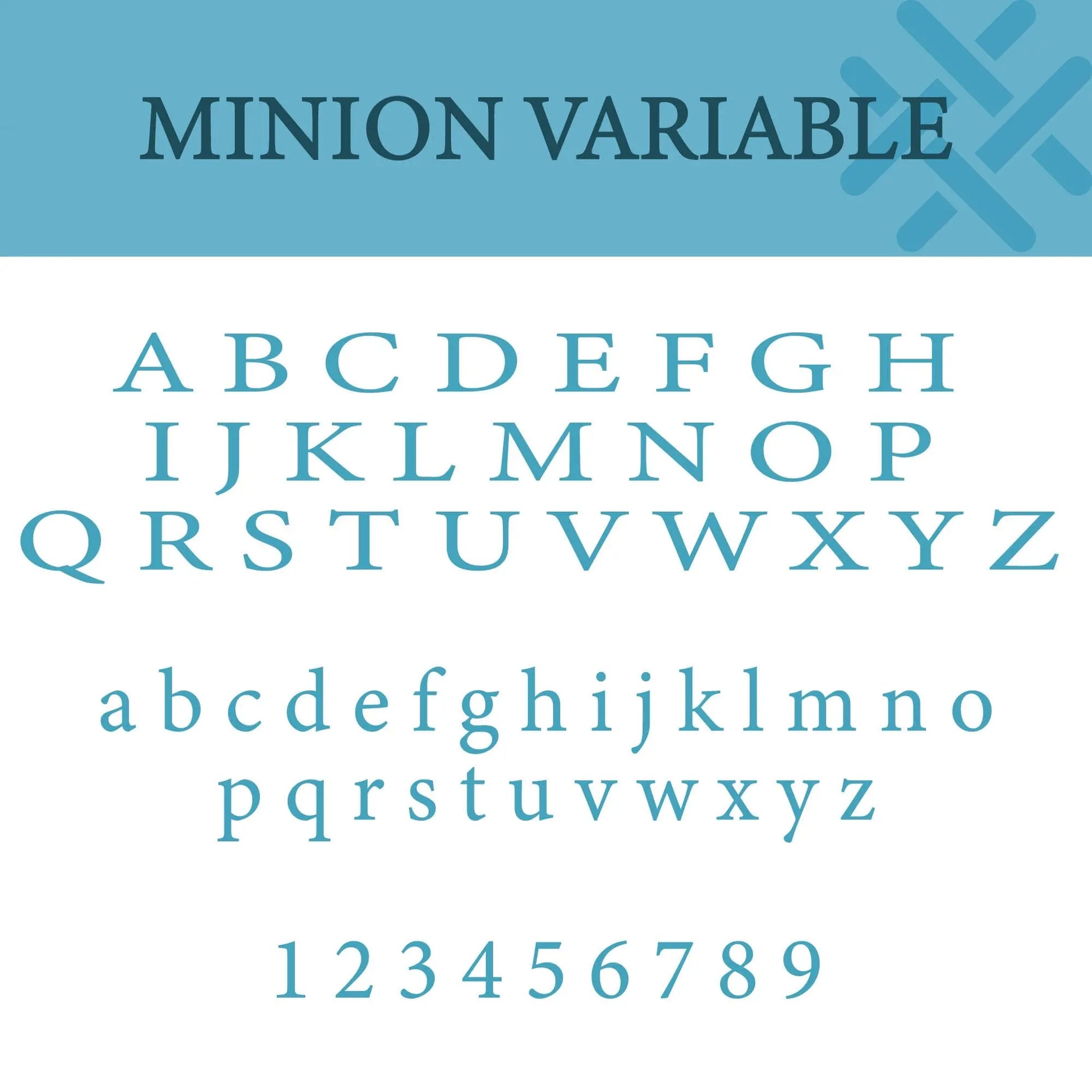 Minion Variable