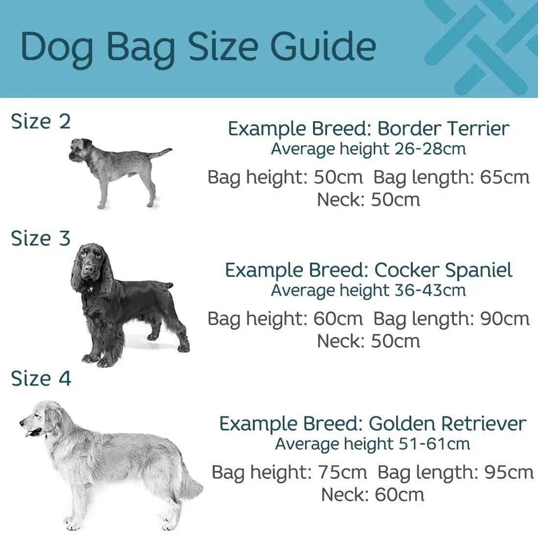 Average dog size examples