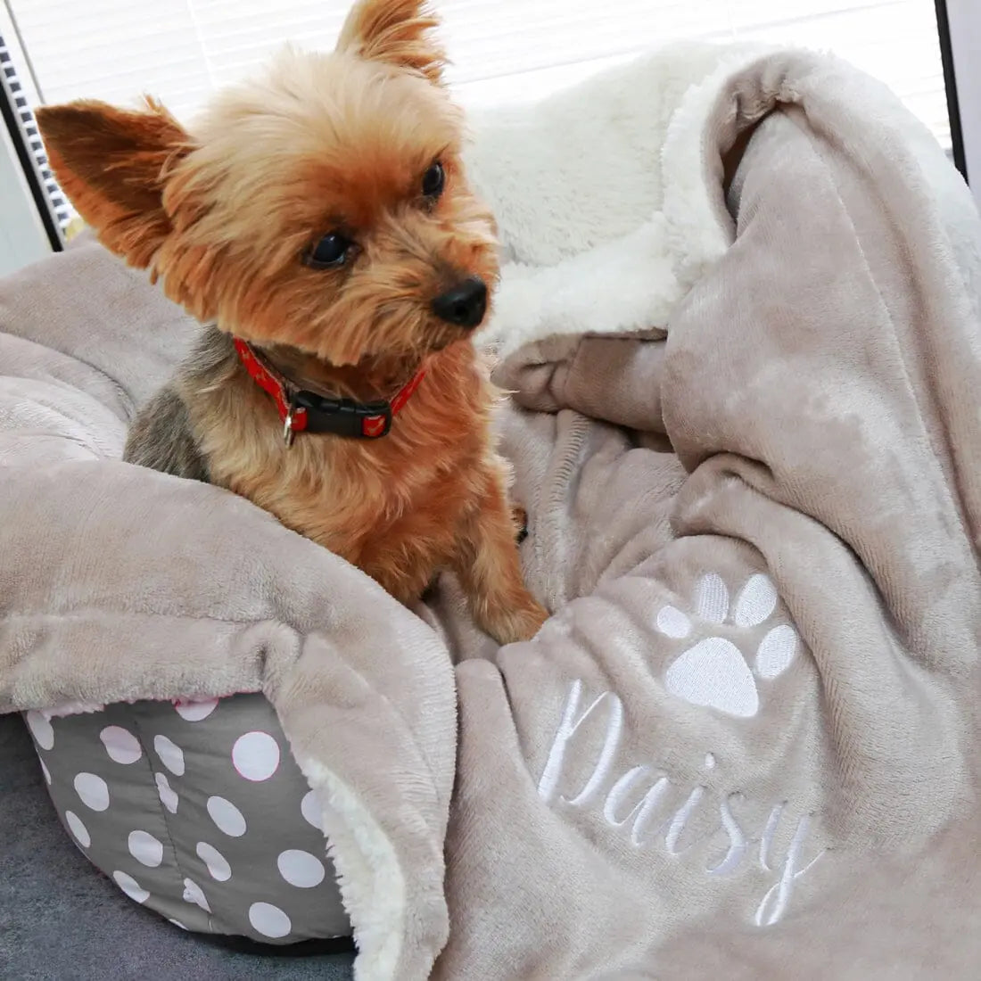 Personalised Sherpa Fleece Dog Blanket   