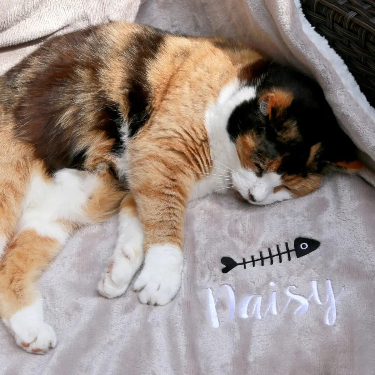 Calico cat outlet blanket